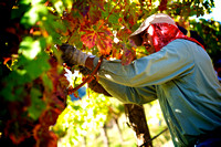 RSV_L_2011-10-14_08-30-27_5692