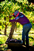 RSV_L_2011-10-14_08-29-20_5679