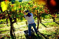 RSV_L_2011-10-14_08-15-27_5611