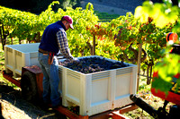 RSV_L_2011-10-14_08-21-13_5648