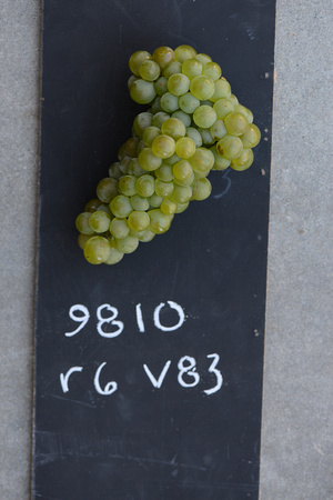 RS_2012-09-08_20969.jpg