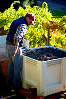 RSV_L_2011-10-14_08-21-15_5650