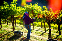 RSV_L_2011-10-14_08-15-42_5613