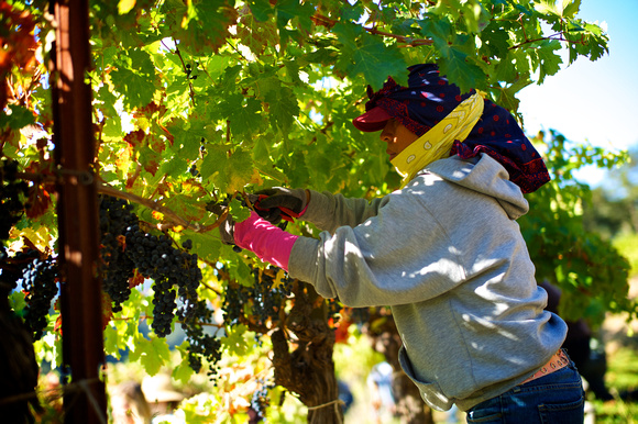 RSV_L_2011-10-14_08-28-08_5664
